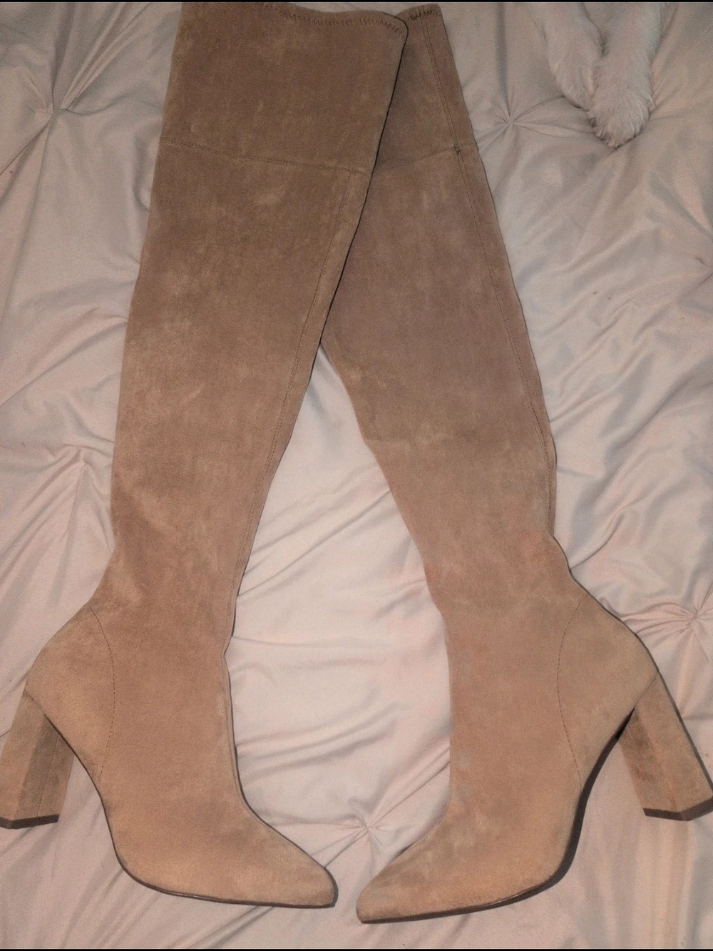 Jeffrey Campbell Taupe Suede Heel Boots Brand New